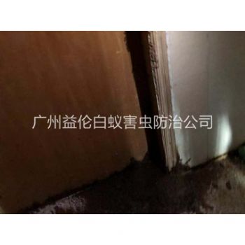 棠下白蚁危害防治工程