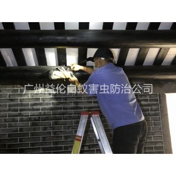 员村祠堂杀灭白蚁工程