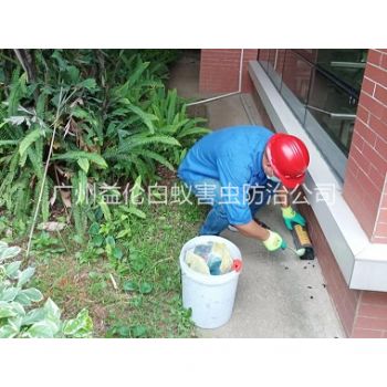新塘施药灭鼠工程