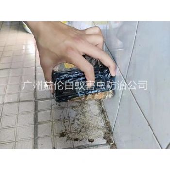 广州诱杀白蚁危害工程