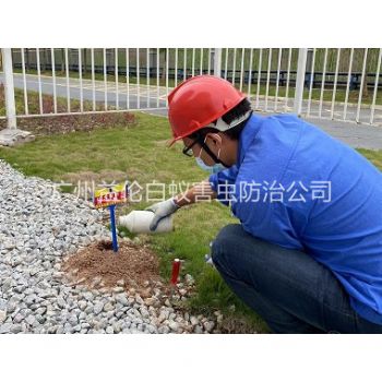 龙洞红火蚁防治工程