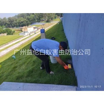 猎德堤坝鼠害防治工程