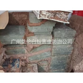 兴华防治白蚁危害工程