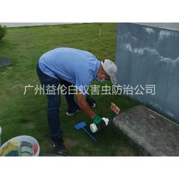 珠吉灭除红火蚁工程