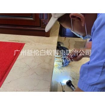 车陂安装诱杀箱监测白蚁工程
