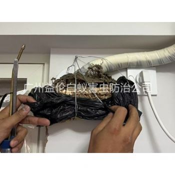 猎德房屋白蚁诱杀工程